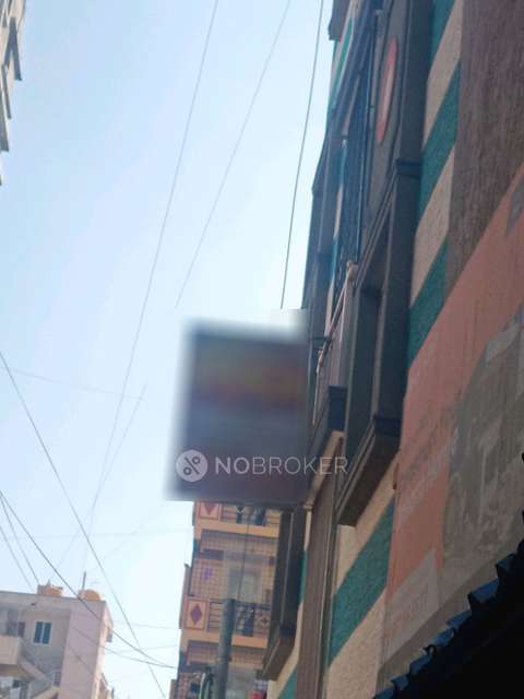 PG for Anyone in  Electronic City