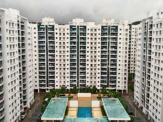 2 BHK Flat In Megapolis Splendour for Rent  In Hinjewadi, Pune