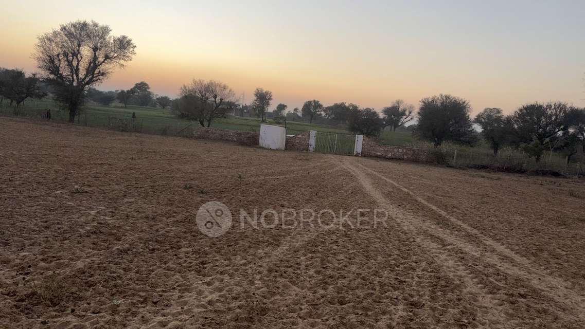 Plot For Sale  In Swastik Home In Sector 62