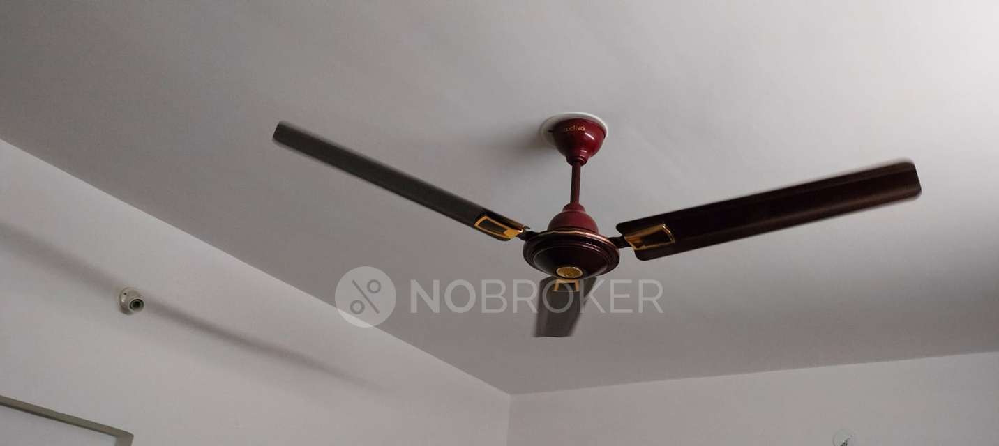 1 BHK Flat In Paradigm Ariana Residency, Borivali East For Sale  In Ariana Residency - Project By Dotom Realty And Paradigm Realty