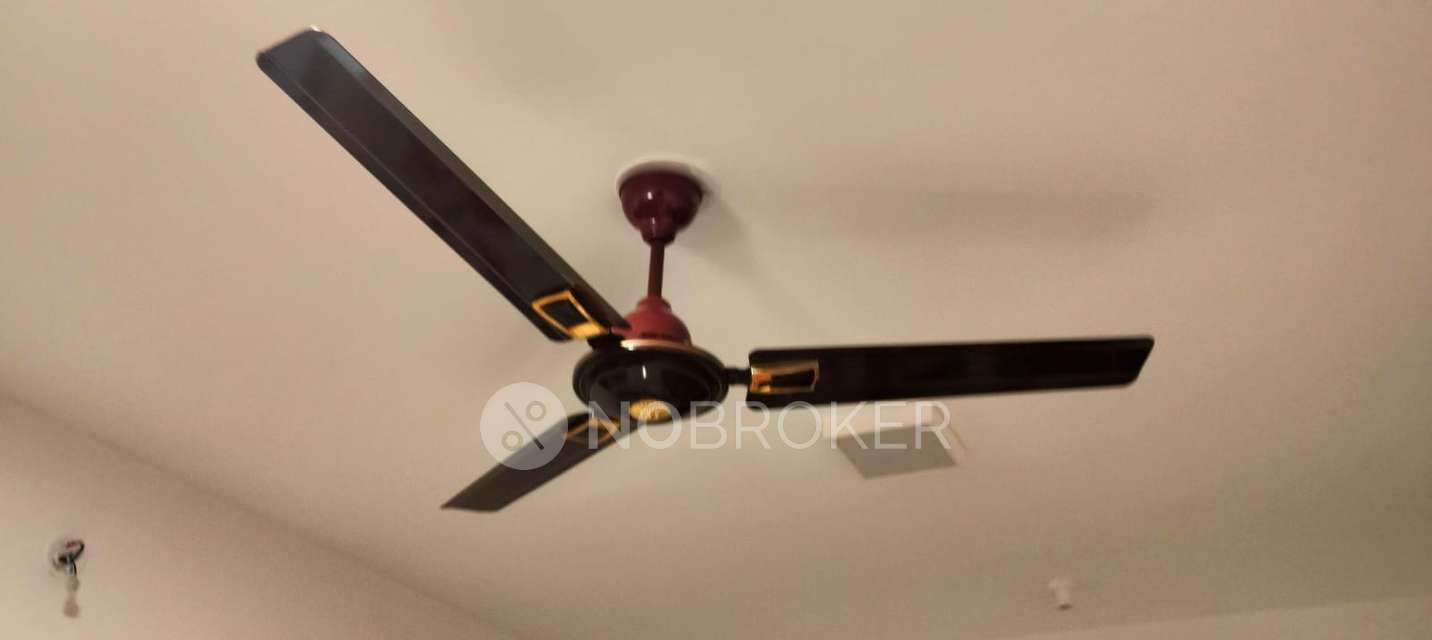 1 BHK Flat In Paradigm Ariana Residency, Borivali East For Sale  In Ariana Residency - Project By Dotom Realty And Paradigm Realty