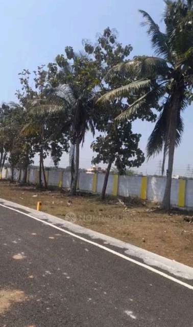 Plot For Sale  In Pandur