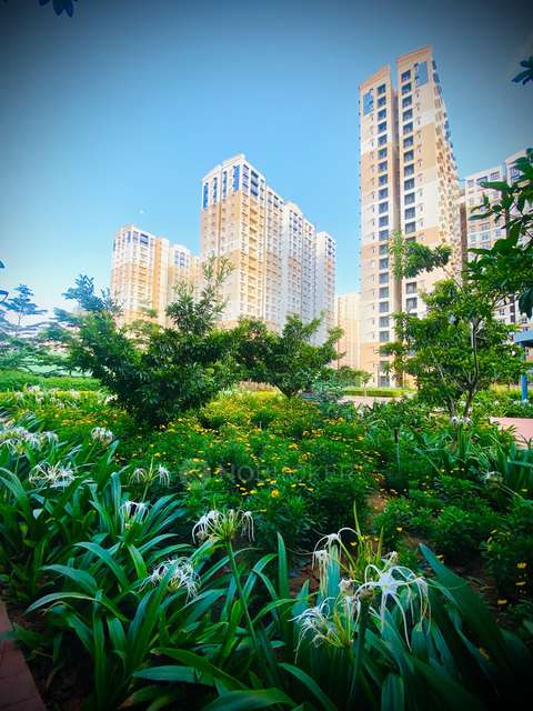 3 BHK Flat In Brigade Eldorado for Rent  In Huvinayakanahalli