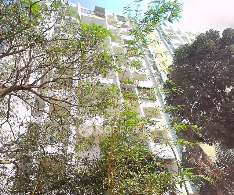 1 BHK Flat In Shoe Shrushti for Rent  In Mnagadewadi