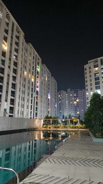 2 BHK Flat In Megapolis Serenity for Rent  In Hinjawadi