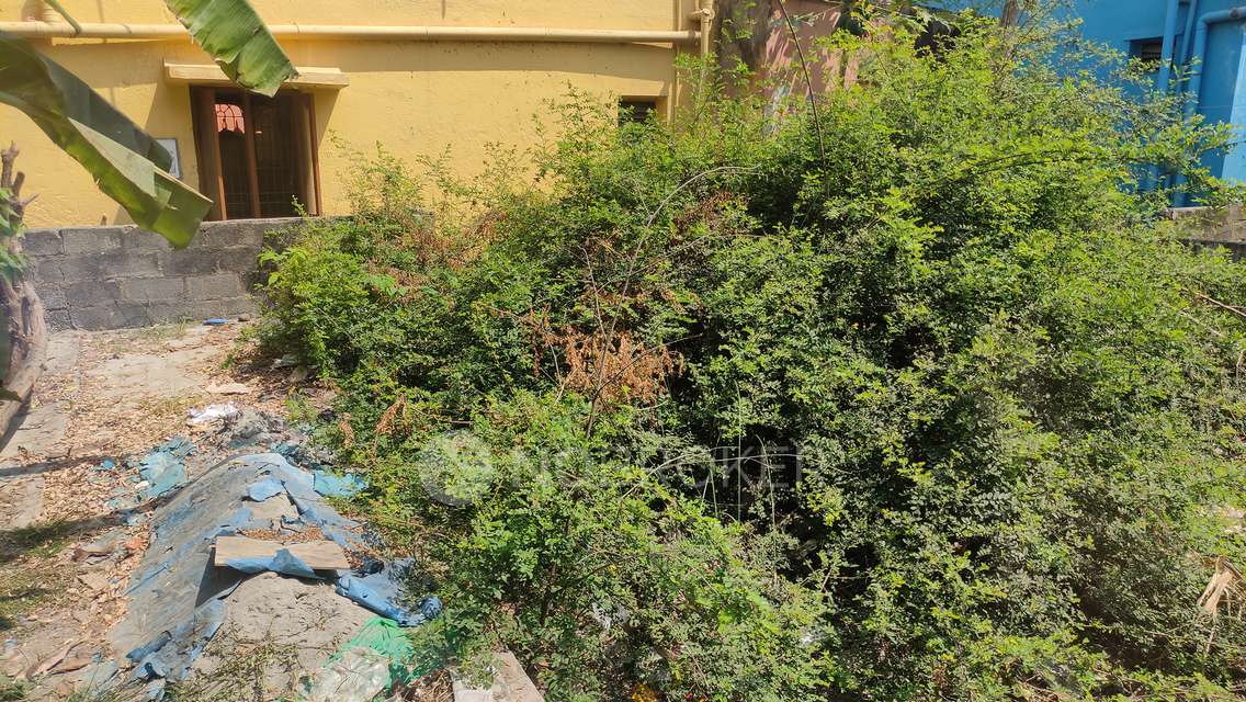 Plot For Sale  In Thoraipakkam