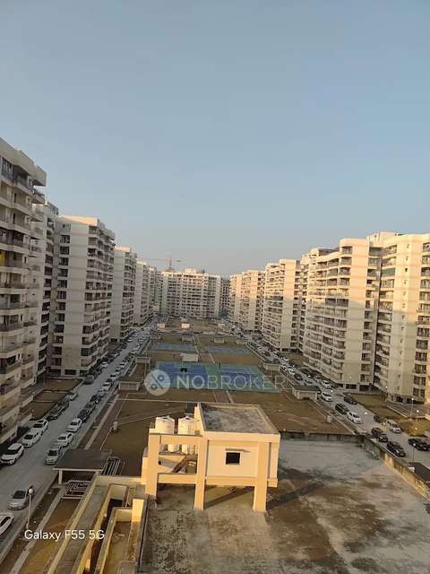 3 BHK Flat In Golf View Condos, Sector 19b, Dwarka for Rent  In Dwarka Sector 19b
