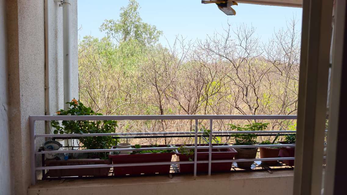 2 BHK Villa In Tirupati Forest Villa, Mamurdi, Mamurdi for Rent  In Mamurdi