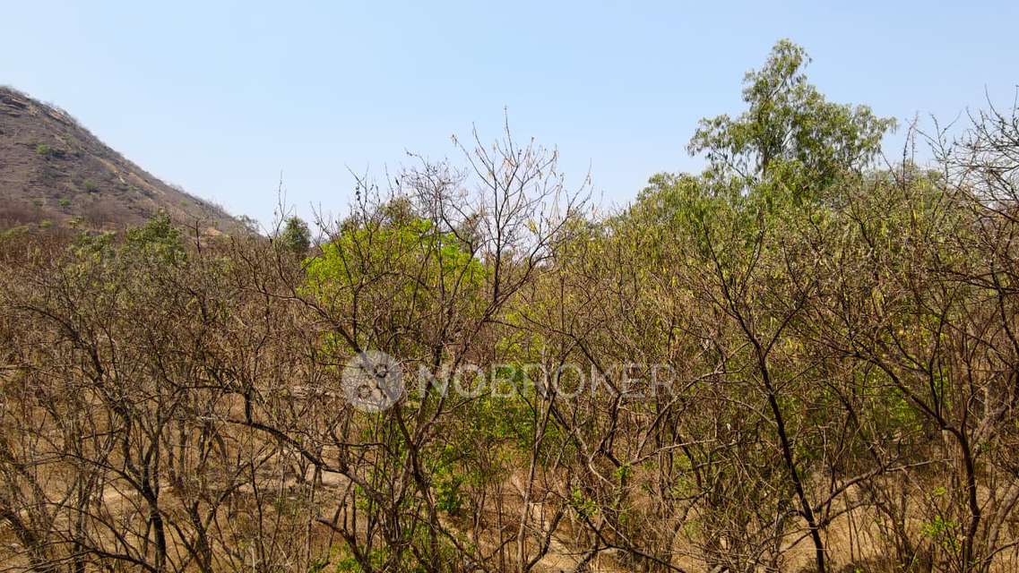 2 BHK Villa In Tirupati Forest Villa, Mamurdi, Mamurdi for Rent  In Mamurdi