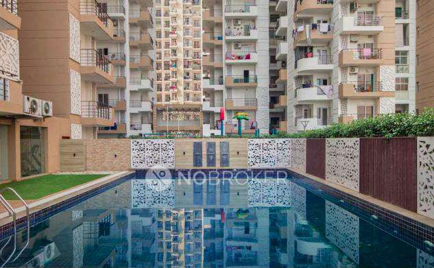 2 BHK Flat In Express Zenith for Rent  In Sector 77