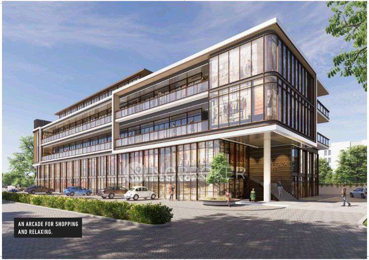 3 BHK Flat In Signature Global City 93  For Sale  In Signature Global Sector 93