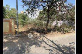 Plot For Sale  In Sitafalmandi, Padmarao Nagar