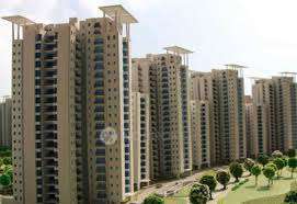 Single Room for Female In 3 BHK  In Jaypee Aman In Sector 151