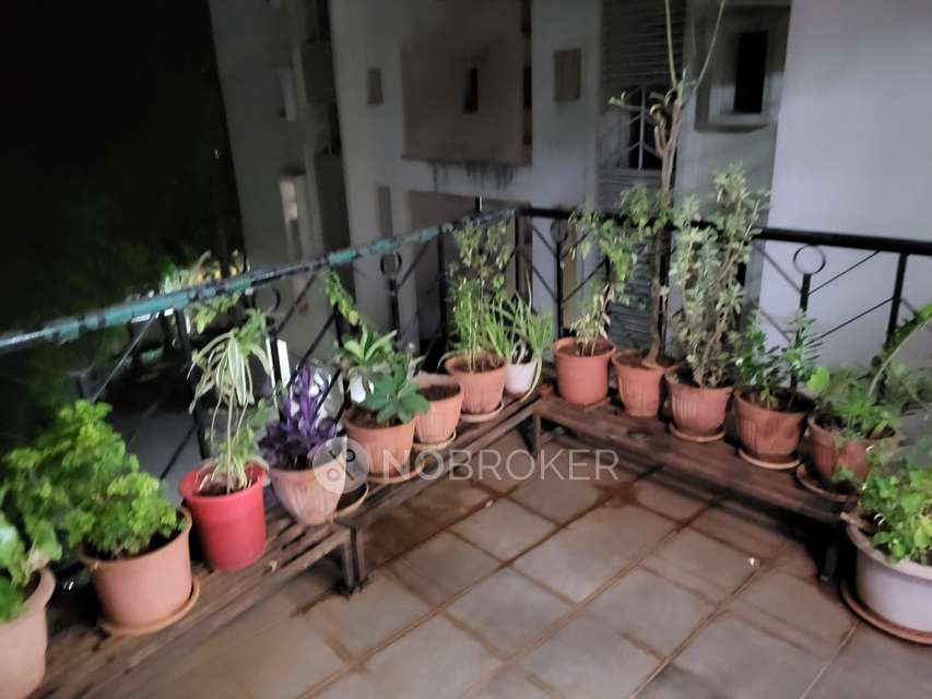 2 BHK Flat In Magarpatta City Roystonea for Rent  In Hadapsar