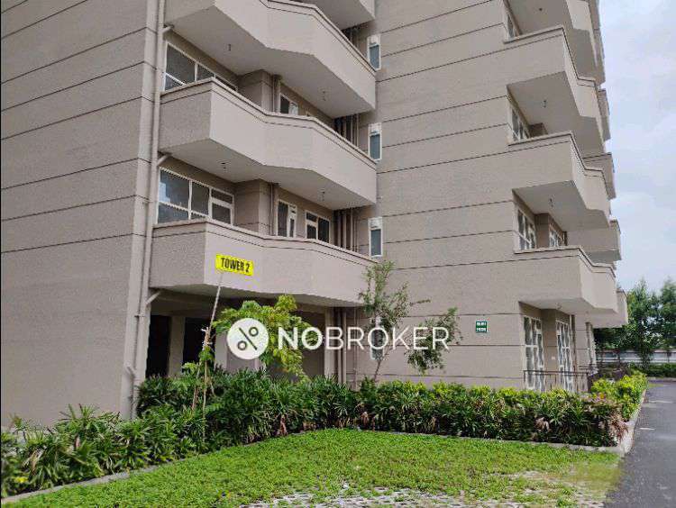 3 BHK Flat In Pyramid Fusion Homes for Rent  In Sector 70a