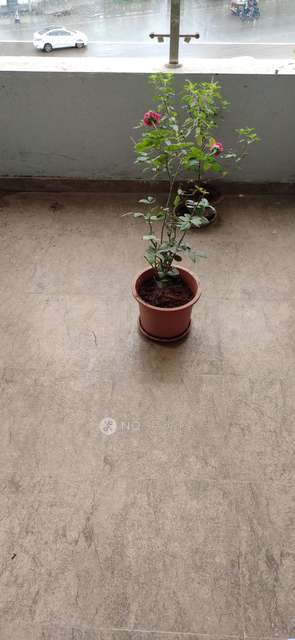 2 BHK Flat In Vinode Spirea, Wakad for Rent  In Wakad