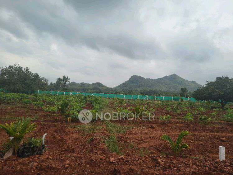 Plot For Sale  In Premium Agriculture Land With Farmhouse Plots In Valasaravakkam