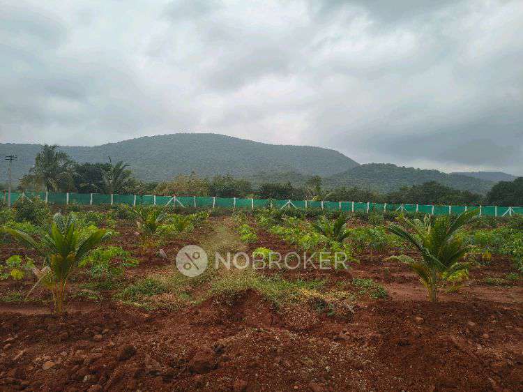 Plot For Sale  In Premium Agriculture Land With Farmhouse Plots In Valasaravakkam