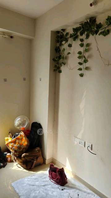 Single Room for Female In 3 BHK  In Skyi Star Town, Bhukum In Bhukum