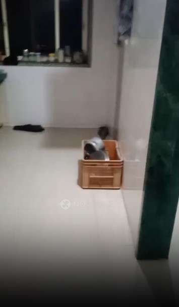 Single Room for Female In 1 BHK  In Jaymala Nagar Lane No 5, Old Sangvi In Lane Number 5