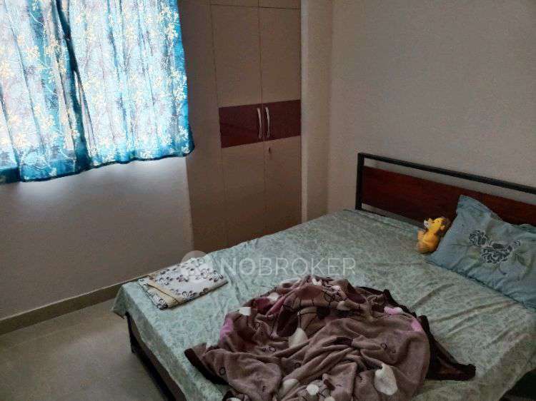 Single Room for Female In 3 BHK  In M-7 603 Amarpali Golf Homes In Sector 4