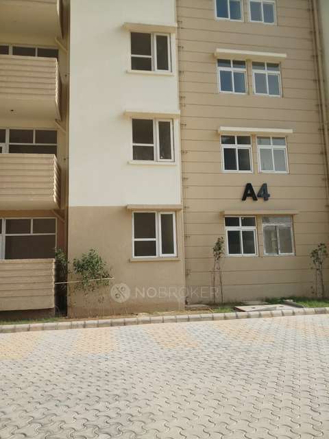 1 BHK Flat In Tulip Lemon for Rent  In Sector 69