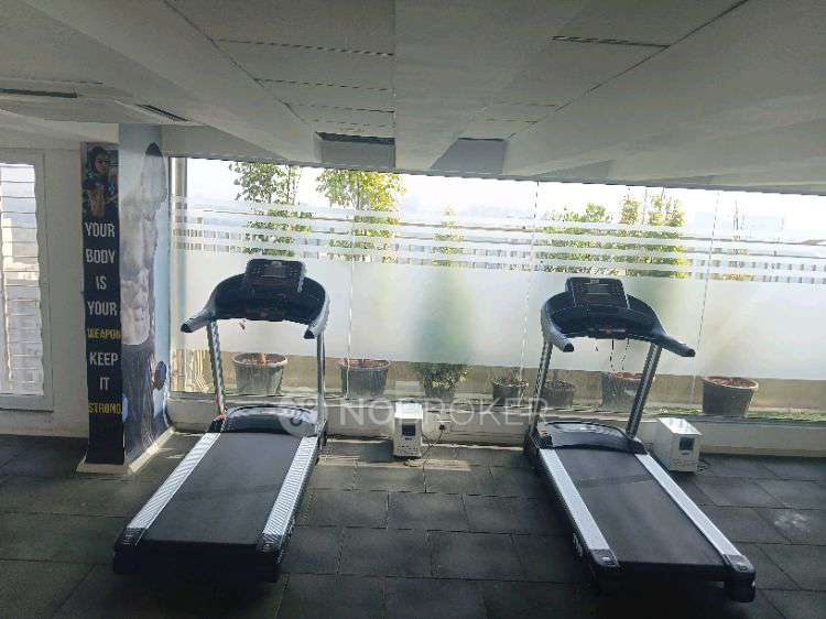 3 BHK Flat In Legacy Eden for Rent  In Tathawade