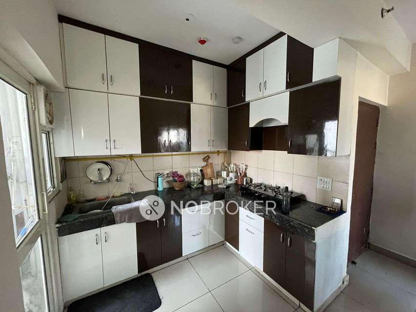 2 BHK Flat In Panchsheel Green 1 For Sale  In Sector 16b  