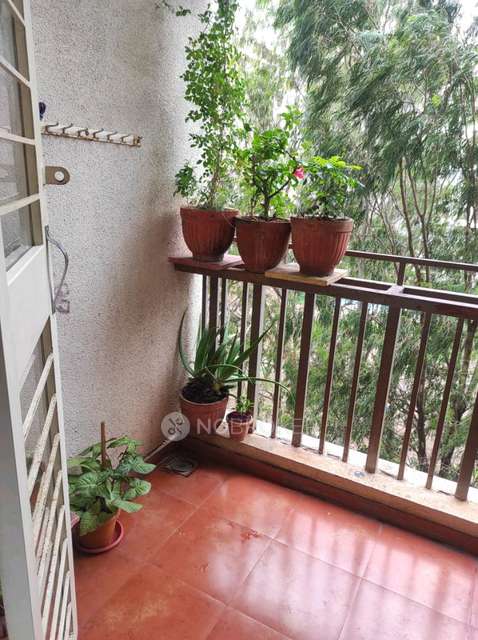 1 BHK Flat In Destination  Ostia for Rent  In Moshi