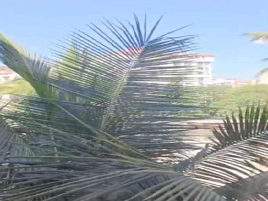 2 BHK Villa In Suyog Nagar, Senapati Bapat Road for Rent  In Senapati Bapat Road