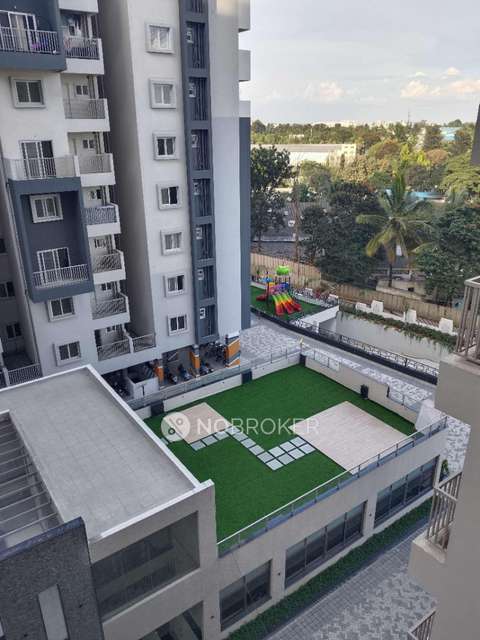 2 BHK Flat In Ds Max Skyclassic for Rent  In Electronic City