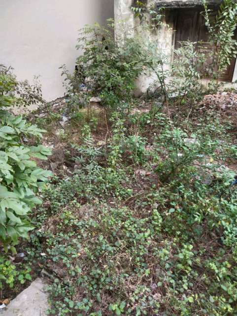 Plot For Sale  In Kk Nagar West, K. K. Nagar