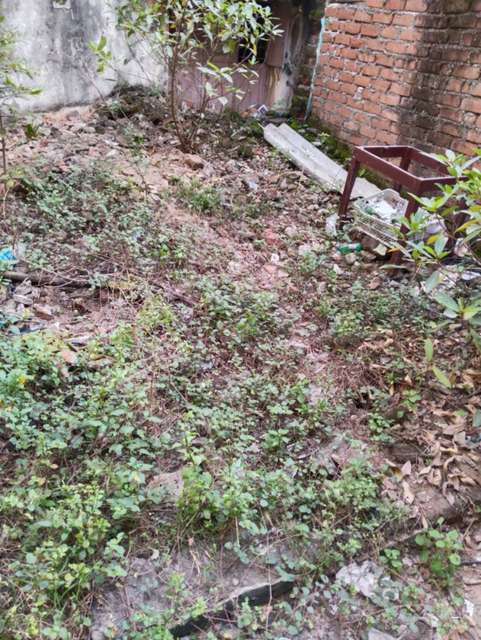 Plot For Sale  In Kk Nagar West, K. K. Nagar