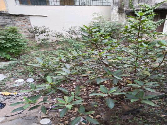 Plot For Sale  In Kk Nagar West, K. K. Nagar