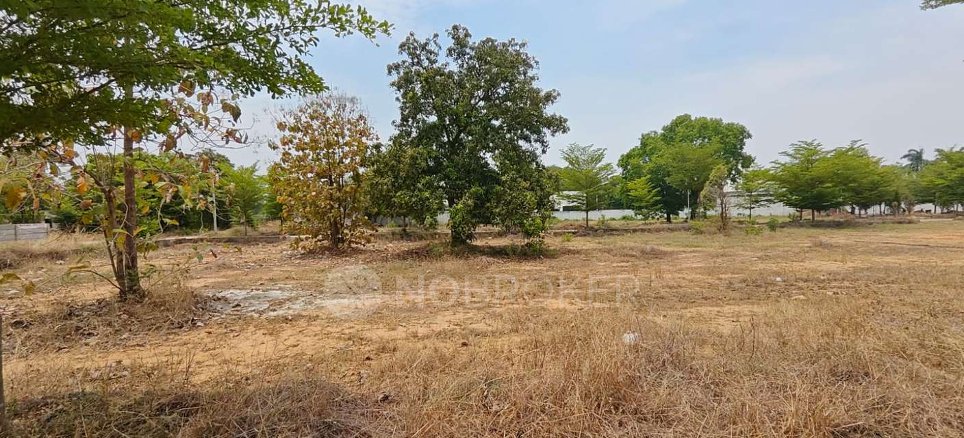 Plot For Sale  In S  In Chembarambakkam