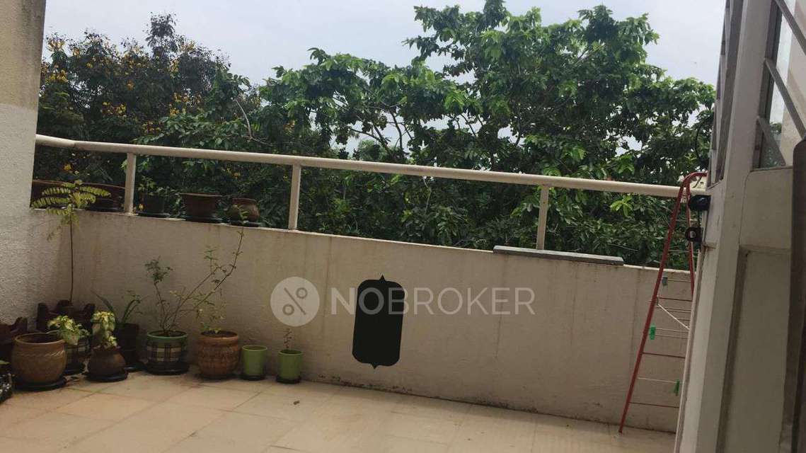 2 BHK Flat In Rahul Park D123 Housing Society for Rent In Rahul Society