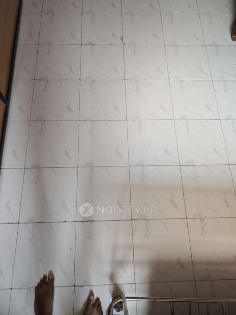 2 BHK Flat In Apartment  for Rent  In Nigdi