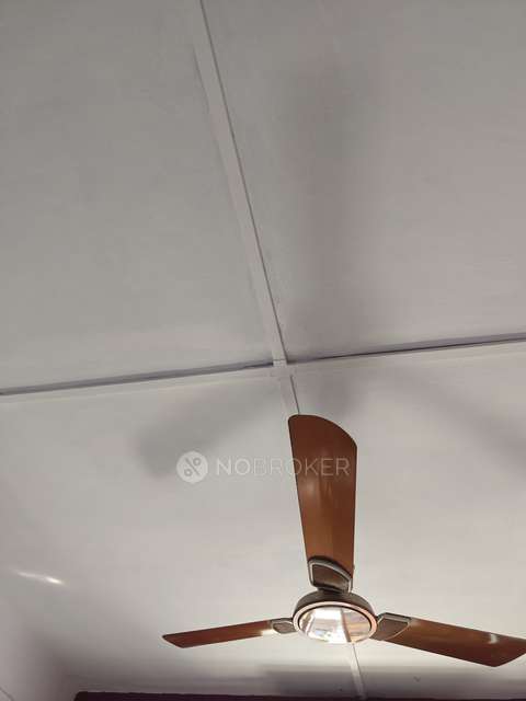 2 BHK Flat In Apartment  for Rent  In Nigdi