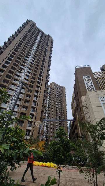 2 BHK Flat In Godrej Park Ridge for Rent  In Godrej Parkridge
