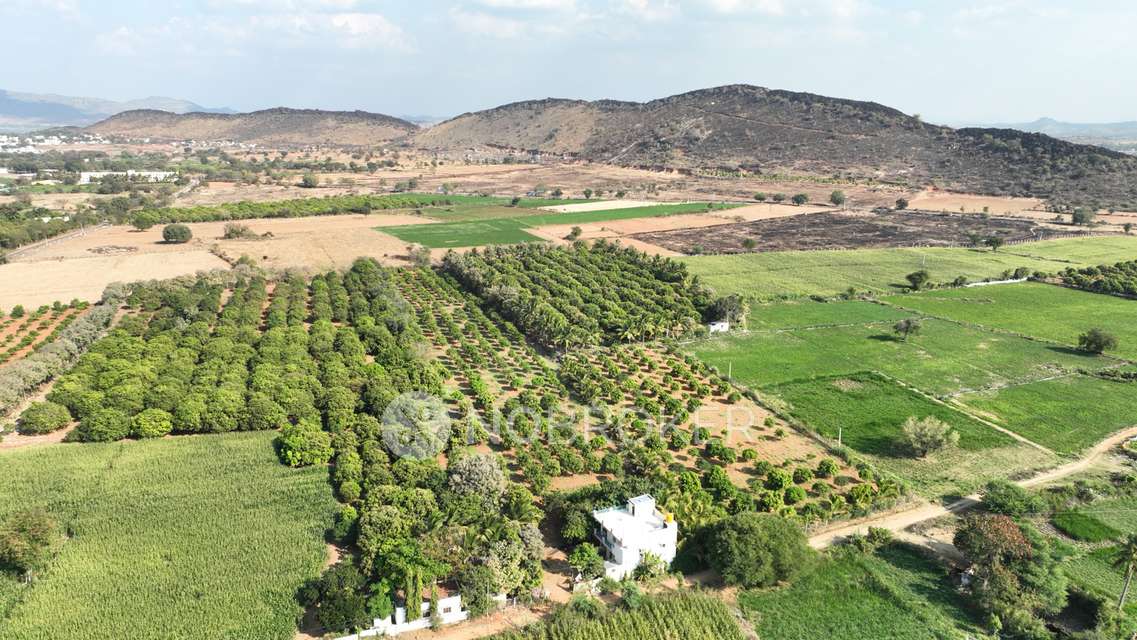 Plot For Sale  In Odion The Woods Of East