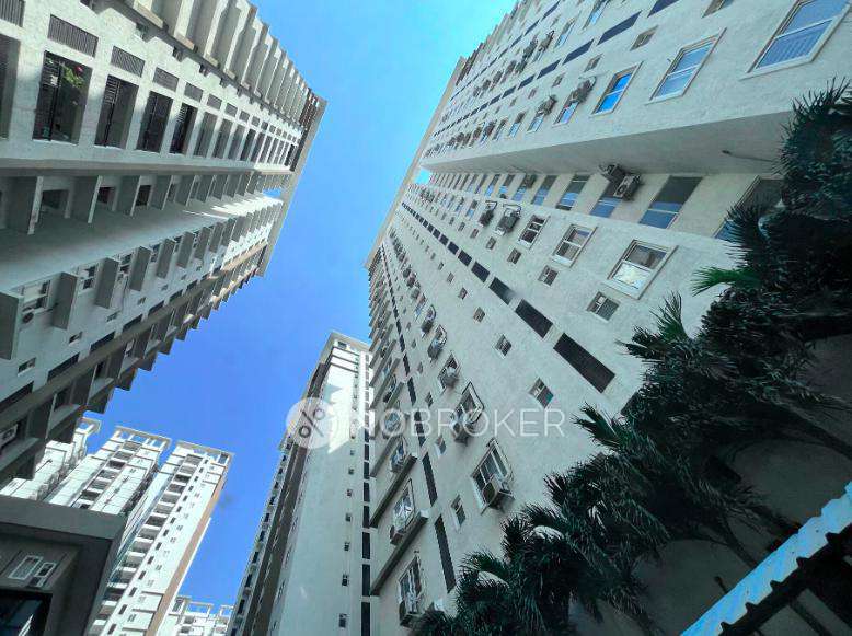Single Room for Female In 3 BHK  In Smr Vinay Iconia In Kondapur