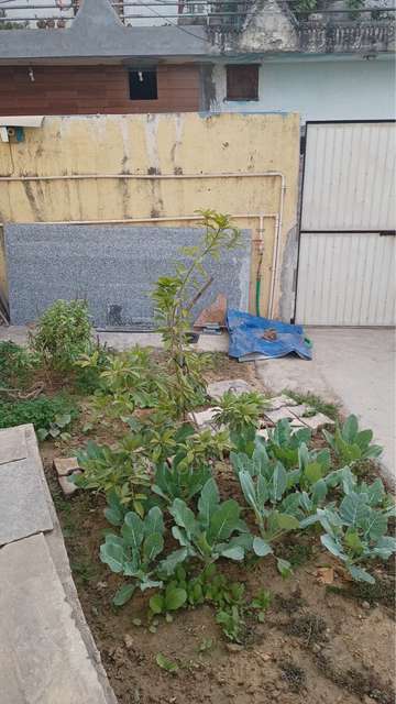 Plot For Sale  In 936j+qgm, Block - B, Shanti Kunj, Part 1, Gurugram, Shanti Kunj, Haryana 122102, India