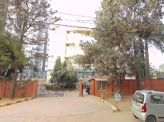 2 BHK Flat In Bm Mystic Green  for Rent  In Hsr Layout