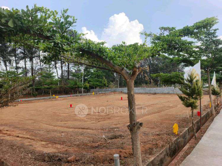 Plot For Sale  In Shree Nindhi Enclave  In Anekal