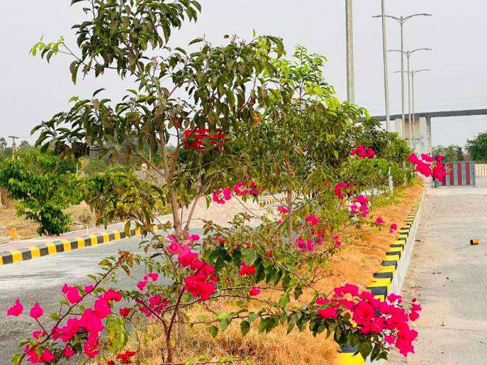 Plot For Sale  In Bst Layout In Kundrathur