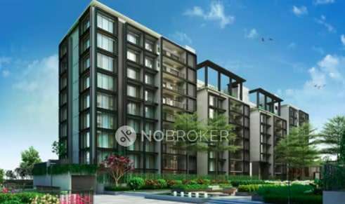 1 BHK Flat In Paranjape The Lofts for Rent  In Hinjewadi