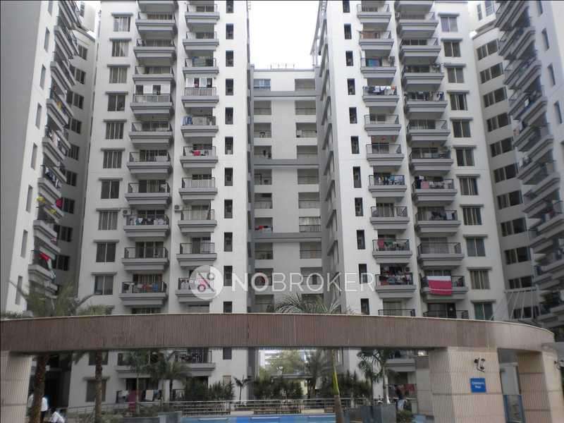 3 BHK Flat In Kumar Urbana Ilife Apartments for Rent  In Devarabisanahalli