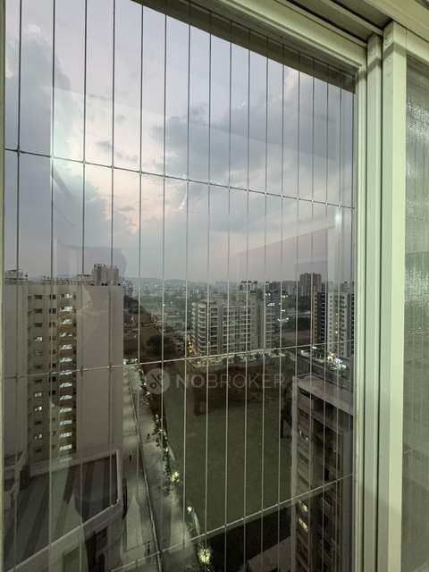 2 BHK Flat In Rgs Forte for Rent  In Wakad