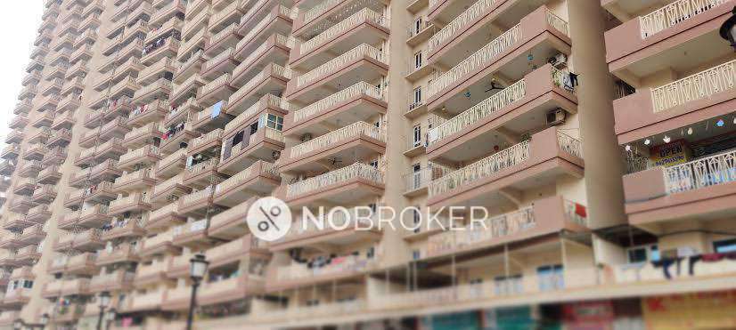 Single Room for Female In 2 BHK  In Gaursons 7th Avenue In Sector 4