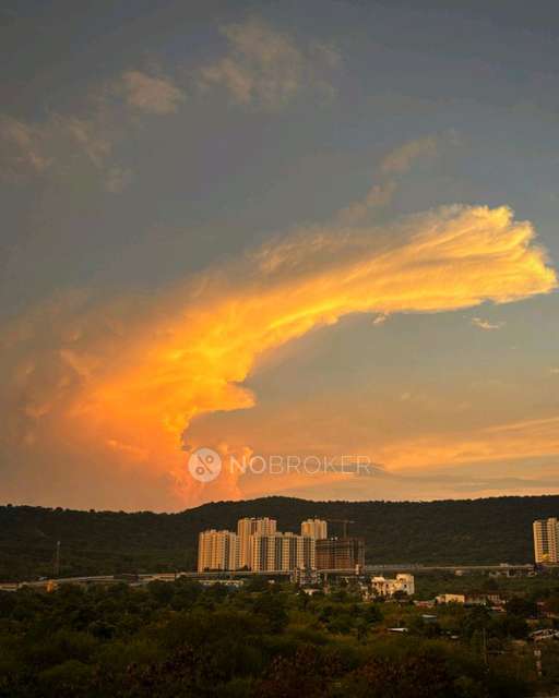 2 BHK Flat In You 57 for Rent  In Hinjawadi